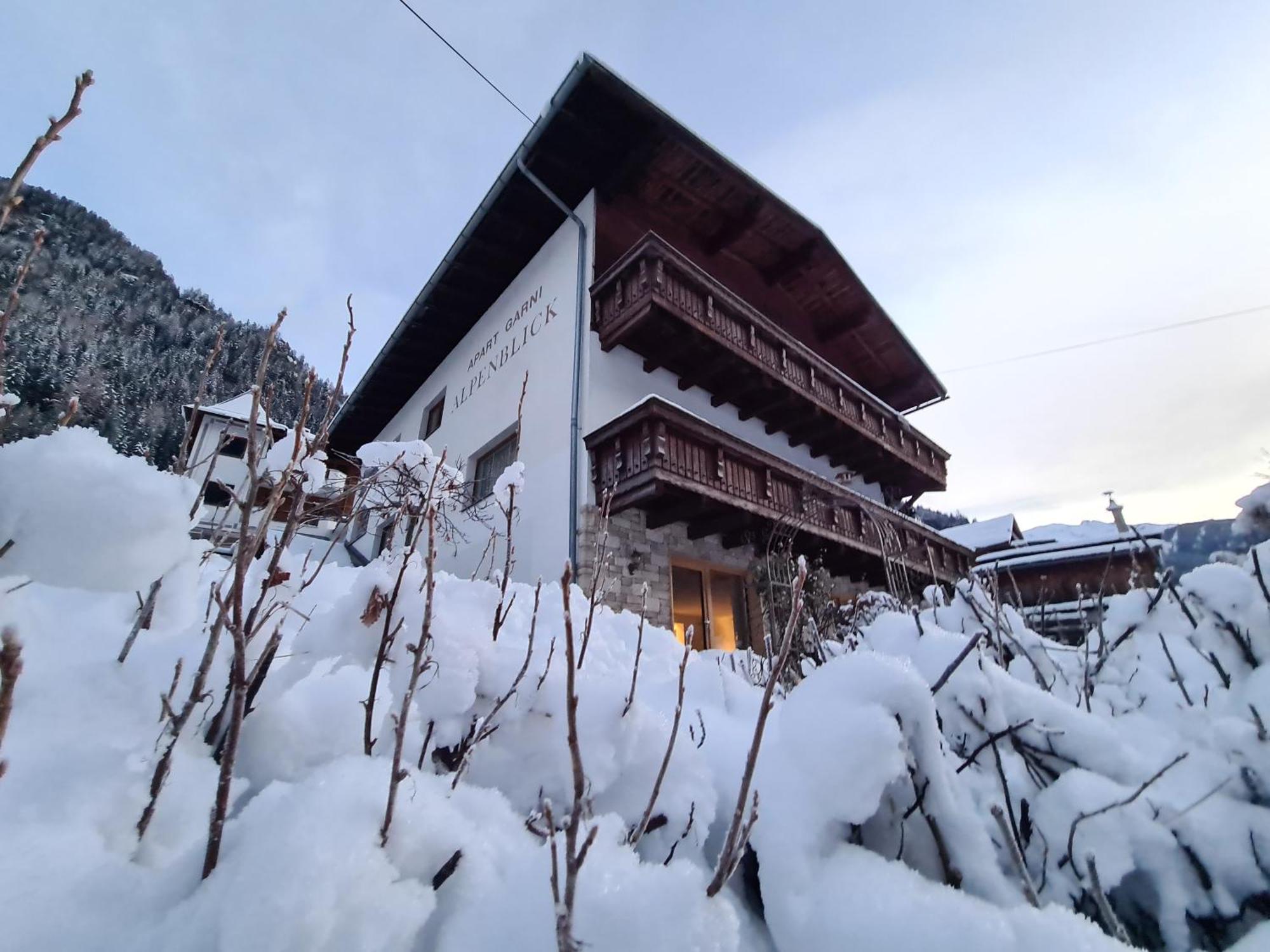 ゼーHaus Alpenblickアパートメント エクステリア 写真